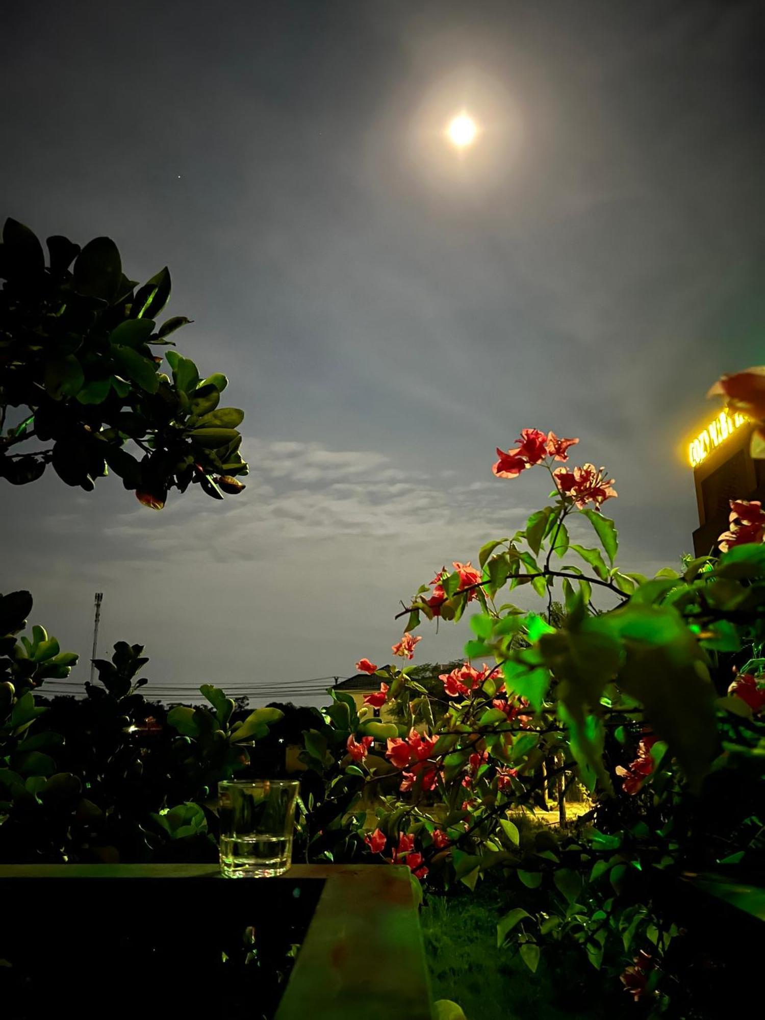 Tam Coc Golden Sun Villa Vu Lam ภายนอก รูปภาพ